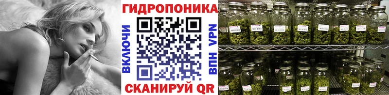 ГАШ Дагестанские Огни