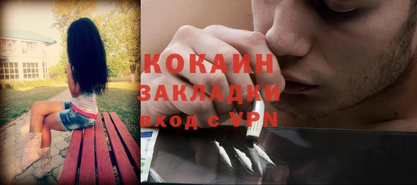 крисы Богородск