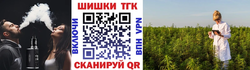 купить  цена  ОМГ ОМГ маркетплейс  Бошки Шишки тримм  Дагестанские Огни 